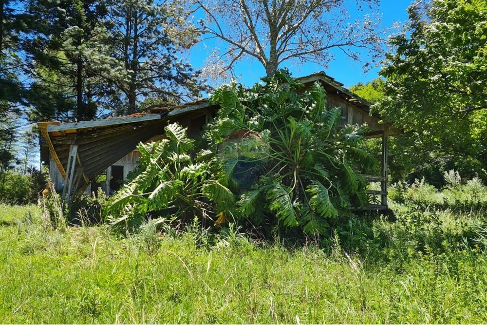 Chácara / Sítio / Fazenda - Venda - São José dos Pinhais , Paraná - 4c246fdc-932f-449b-96ef-557fca07cee1.jpeg - 560331128-24