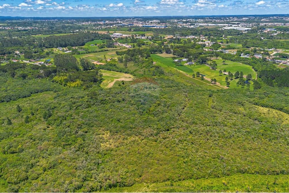 Chácara / Sítio / Fazenda - Venda - São José dos Pinhais , Paraná - DJI_0429_1.jpg - 560331128-24