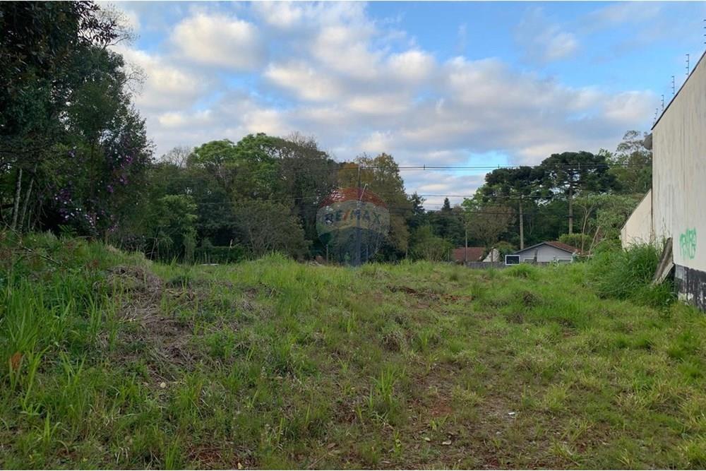 Terreno - Venda - Curitiba , Paraná - 11.jpg - 560461019-13