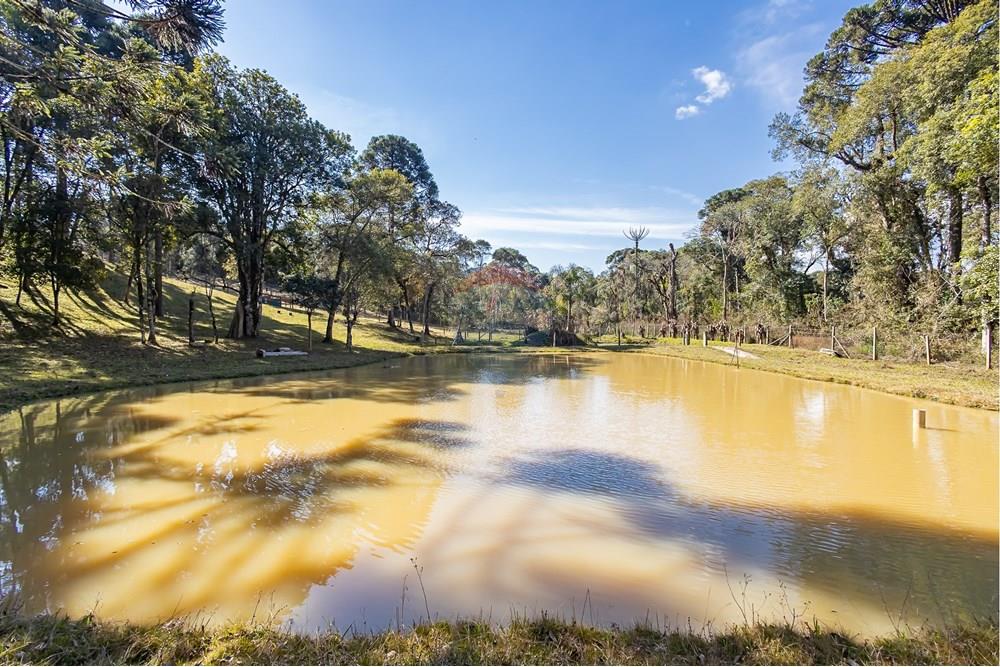 Chácara / Sítio / Fazenda - Venda - Campo Largo , Paraná - F (36).jpg - 560351150-1