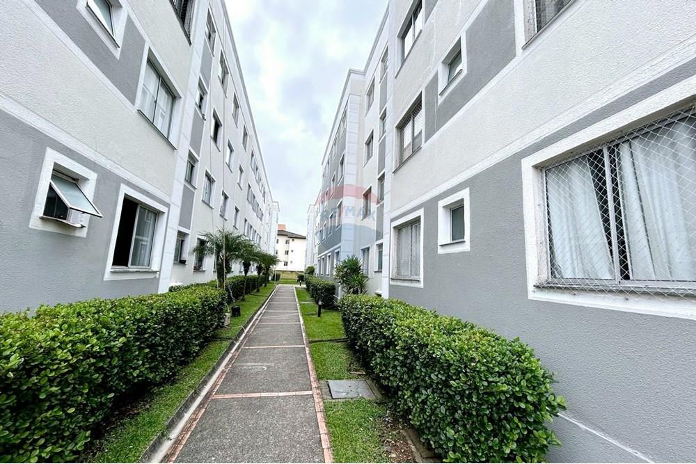 Apartamento - Alugar - São José dos Pinhais , Paraná - IMG_8957.JPG - 560411032-67