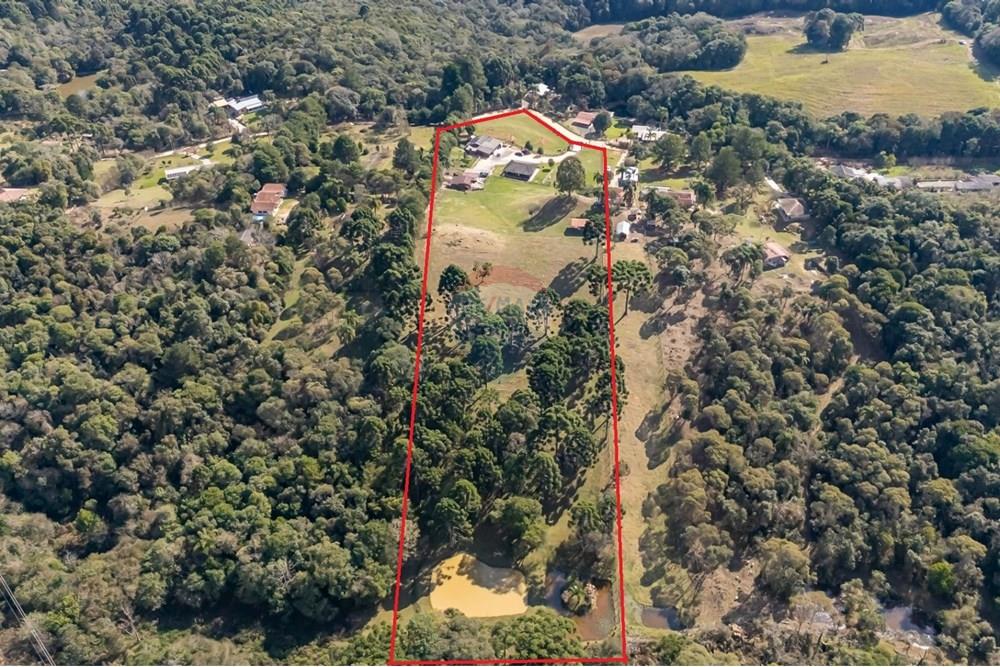 Chácara / Sítio / Fazenda - Venda - Campo Largo , Paraná - 5d5a5dfc-8e21-4516-9e6d-7001f7d9f915.jpeg - 560351150-1