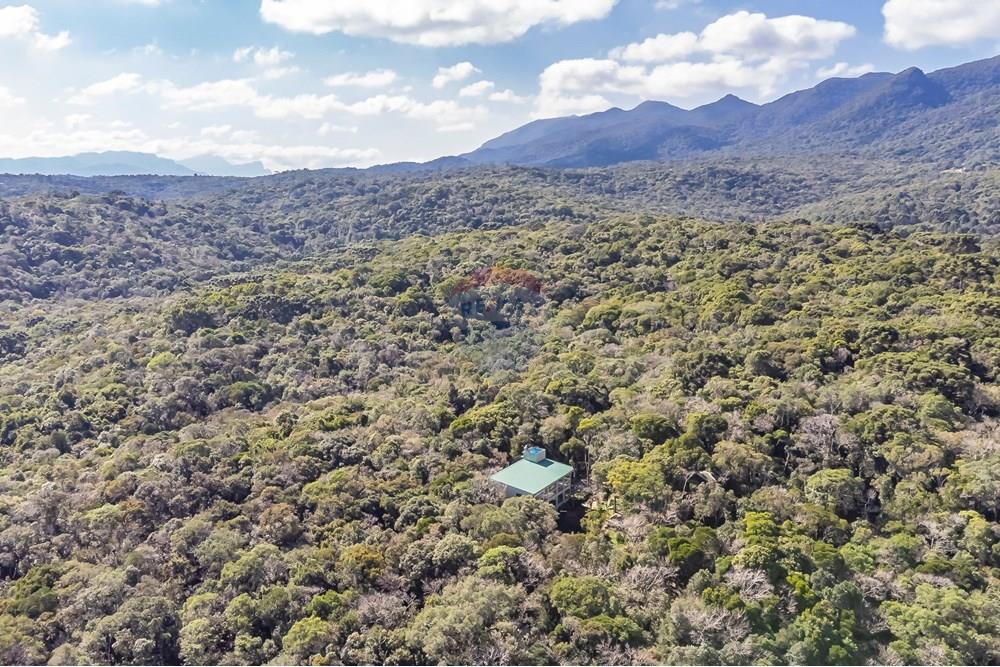 Chácara / Sítio / Fazenda - Venda - Piraquara , Paraná - DJI_0512_1.jpg - 560431012-39