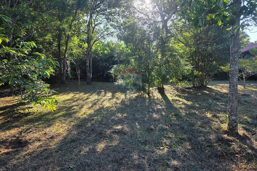 Terreno - Venda - Pinhais , Paraná - 20260206_174306.jpg - 560501001-19