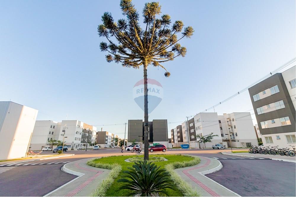 באזור מגורים - דירה - Campo Largo , Paraná - BR - IMG_9990.jpg - 560411052-110