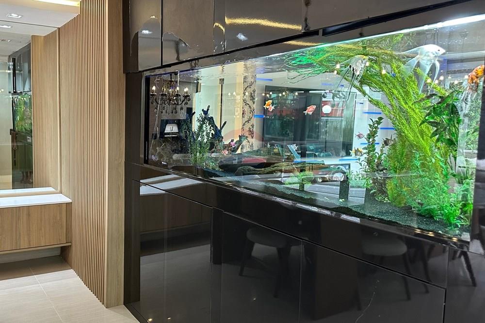 Sobrado - Venda - Curitiba , Paraná - 21.jpg - 560341080-250