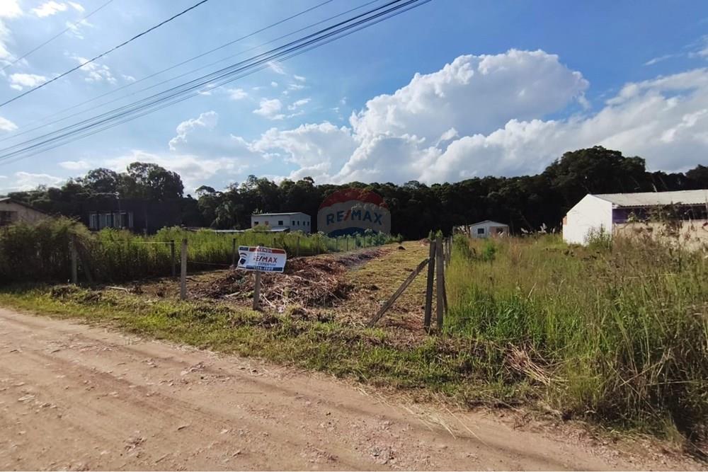 Terreno - Venda - São José dos Pinhais , Paraná - WhatsApp Image 2026-02-10 at 11.30.17 (1).jpeg - 560391096-12