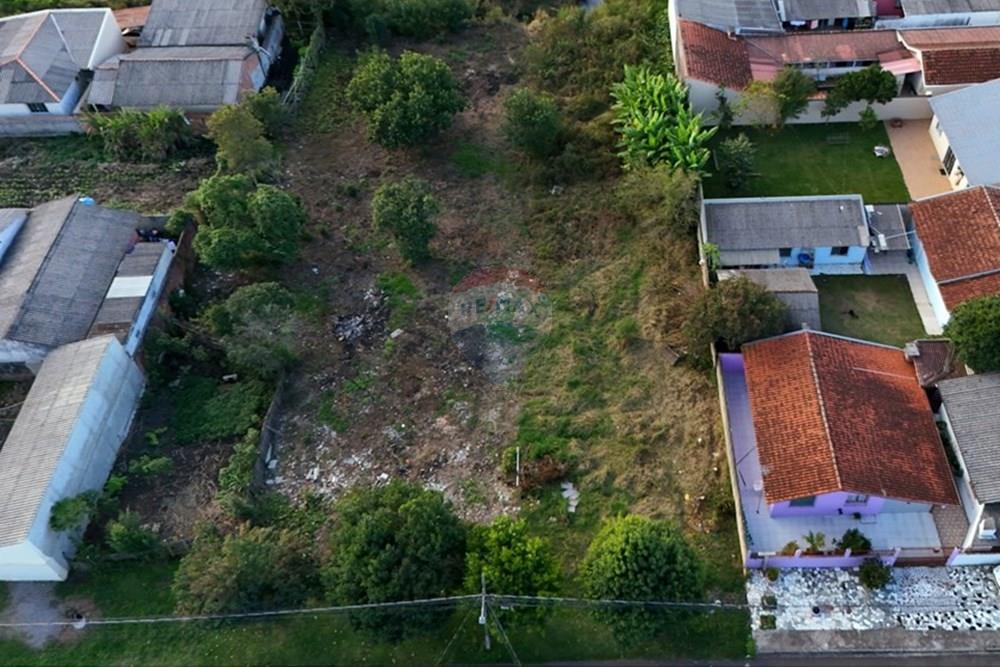 Terreno - Venda - São José dos Pinhais , Paraná - 3.JPG - 560411029-24