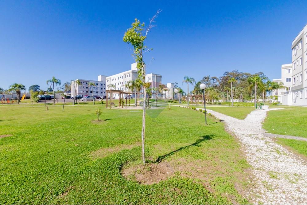 Apartamento - Venda - São José dos Pinhais , Paraná - IMG_9316.jpeg - 560331022-68