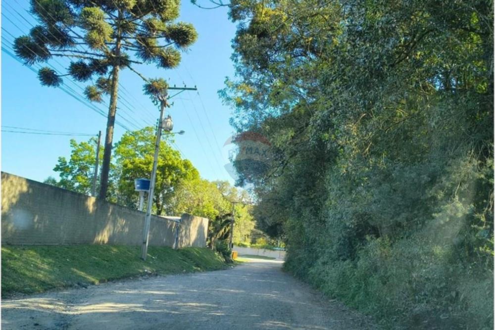 Terreno - Venda - Campo Largo , Paraná - WhatsApp Image 2025-10-06 at 22.02.56.jpeg - 560351155-5