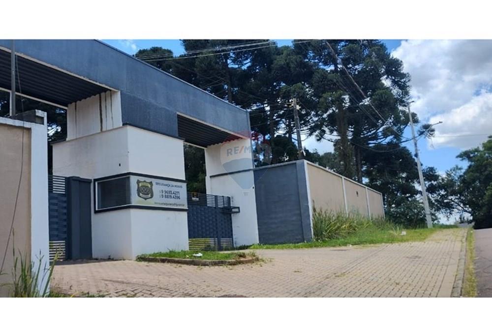 Terreno - Venda - Fazenda Rio Grande , Paraná - WhatsApp Image 2025-12-22 at 12.16.52.jpeg - 560321166-1