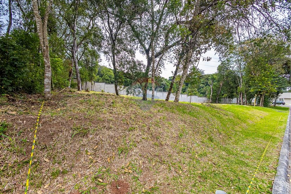 Terreno - Venda - Curitiba , Paraná - SHEEP - IMG_2557_1.jpg - 560341101-20