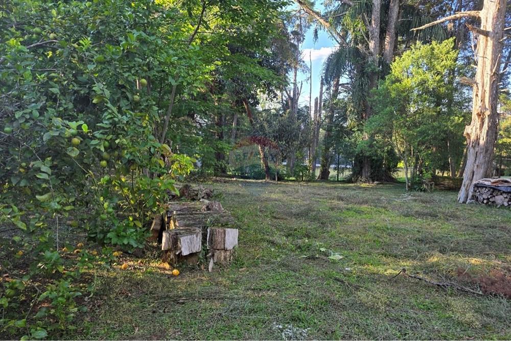 Terreno - Venda - Pinhais , Paraná - 20260206_174415.jpg - 560501001-19