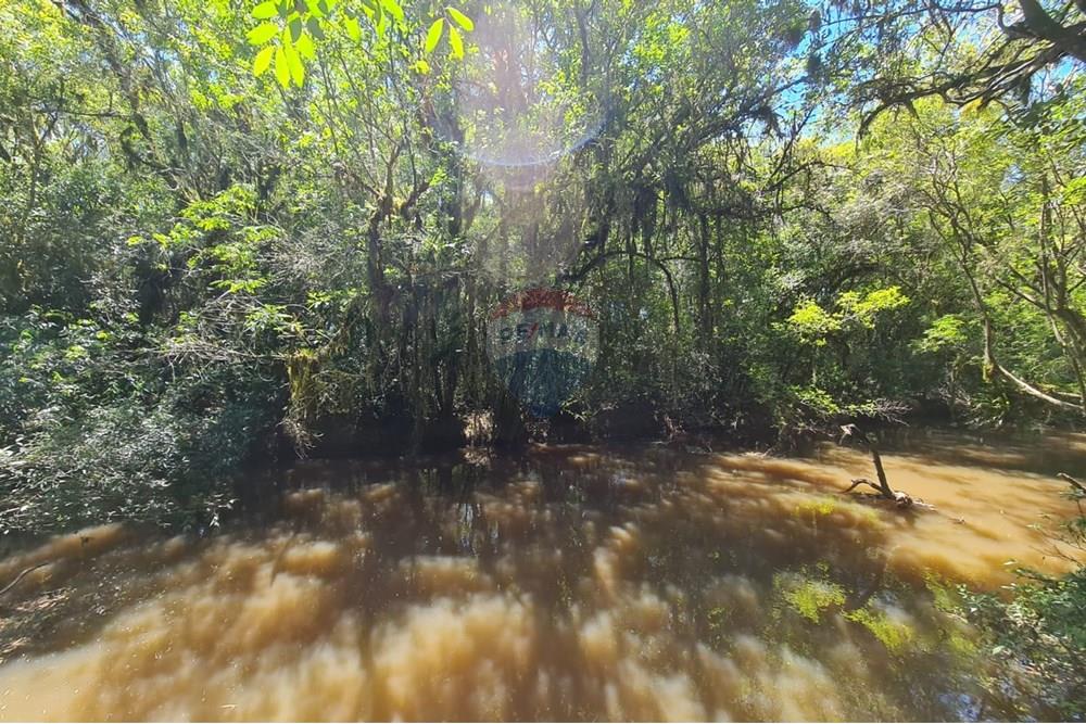 Chácara / Sítio / Fazenda - Venda - São José dos Pinhais , Paraná - 0d1689e0-25e6-4e2f-84e0-b68b924a4af6.jpeg - 560331128-24