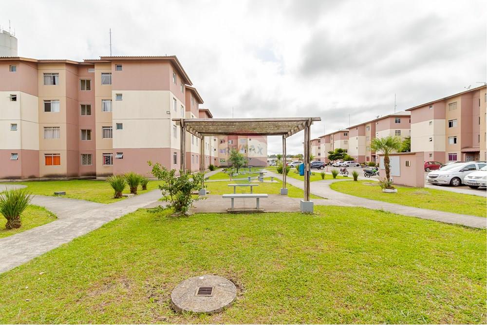 Apartamento - Venda - São José dos Pinhais , Paraná - IMG_2411.jpg - 560411027-30