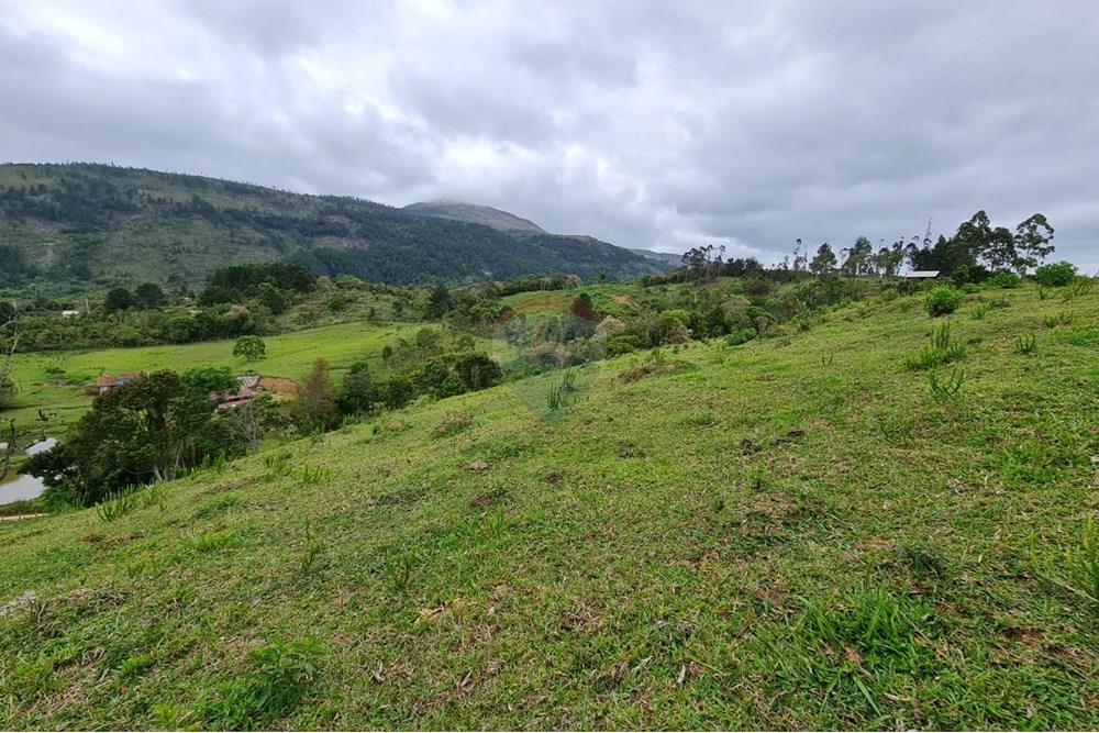Chácara / Sítio / Fazenda - Venda - Tijucas do Sul , Paraná - ae7bafa7-a447-4cbb-932c-f68f4a4f7ff3.jpeg - 560391051-16
