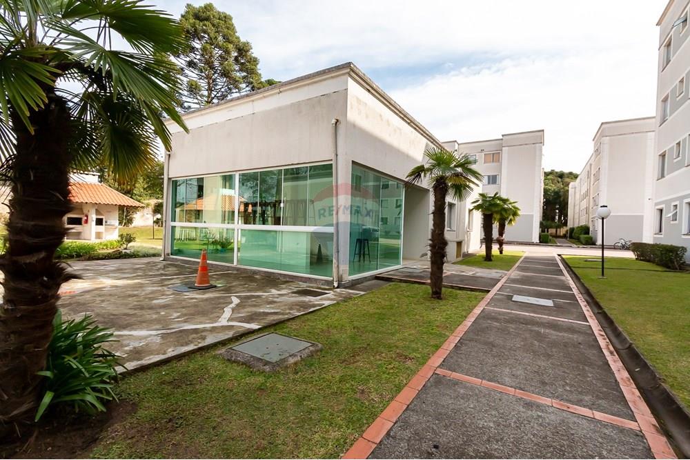 Apartamento - Alugar - São José dos Pinhais , Paraná - IMG_2141.jpg - 560411055-23