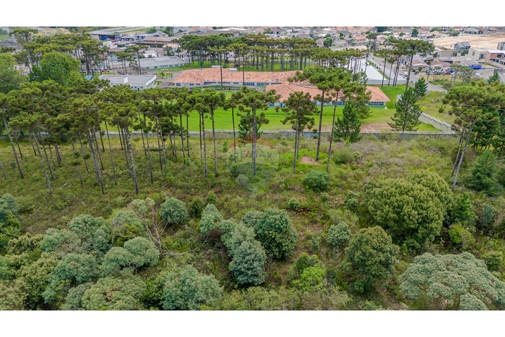 Terreno - Venda - São José dos Pinhais , Paraná - DJI_20250227132820_0563_D.jpg - 560351069-35