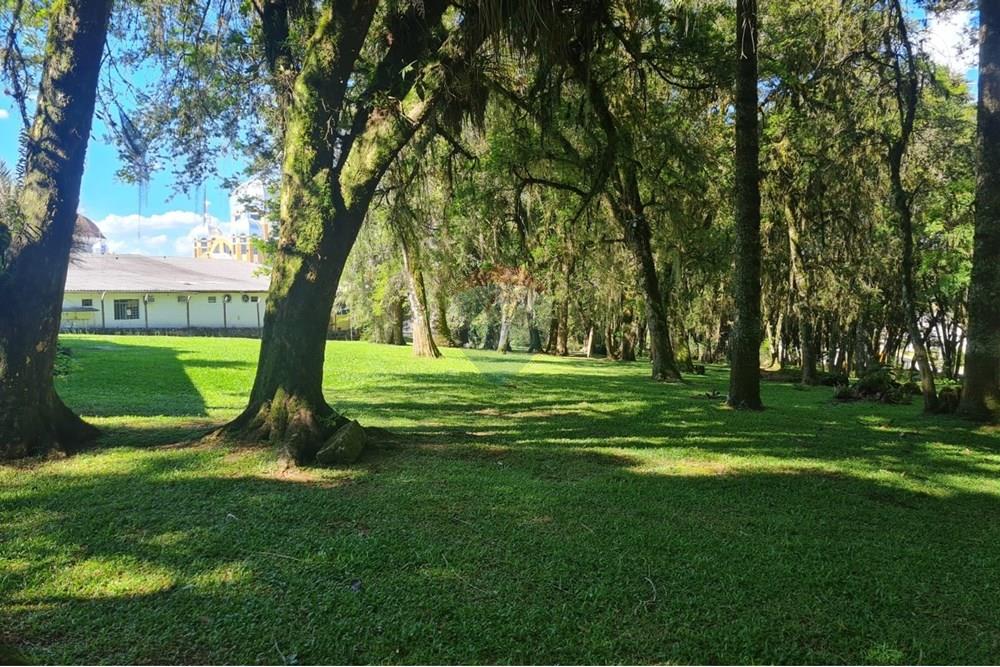 Casa Comercial - Alugar - São José dos Pinhais , Paraná - b7ec9c17-1dcb-4e4e-a3c9-190a00374193.jpeg - 560331128-18