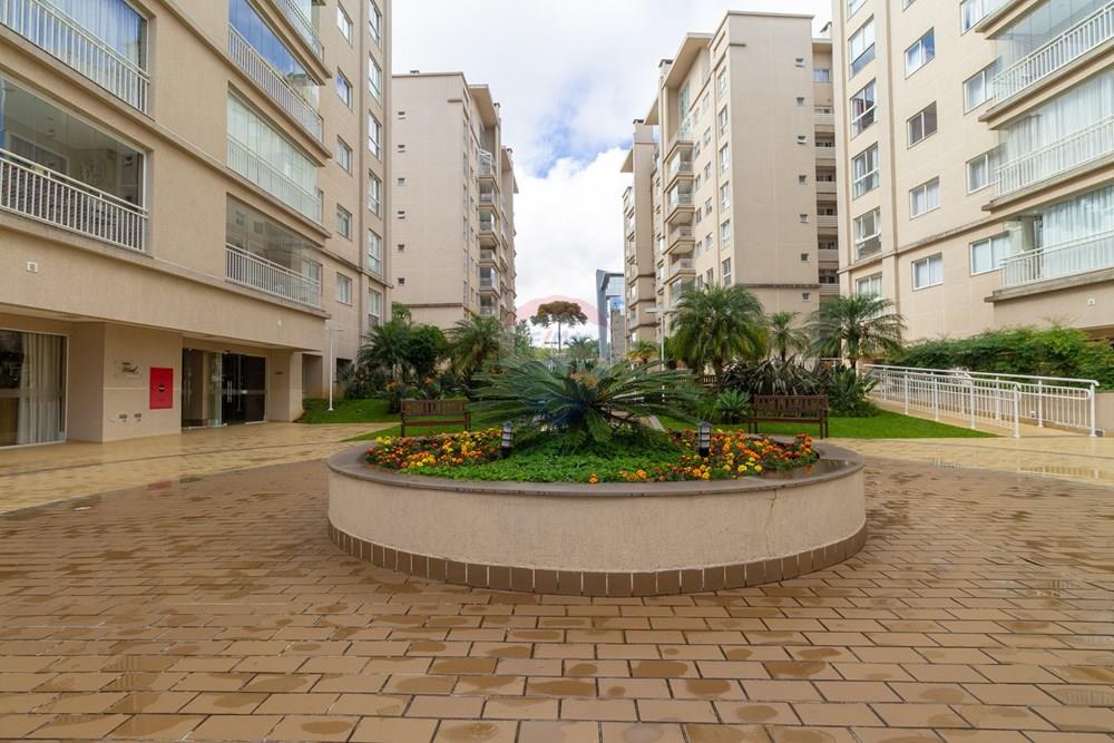 Apartamento - Alugar - Curitiba , Paraná - IMG_8072.jpg - 560311047-589
