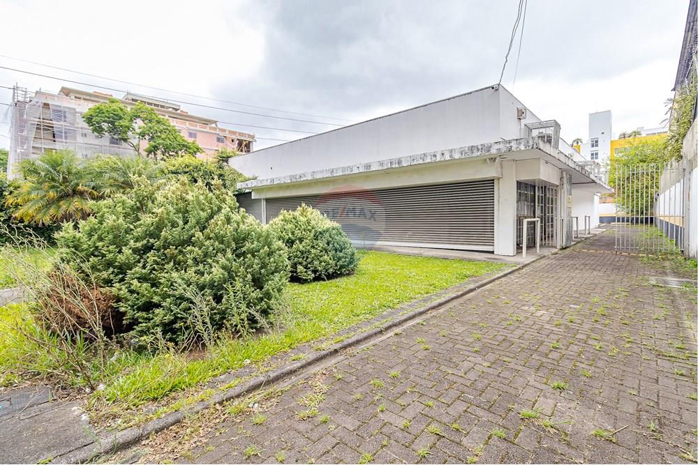 Terreno - Venda - Curitiba , Paraná - IMG_5104.jpg - 560321058-111