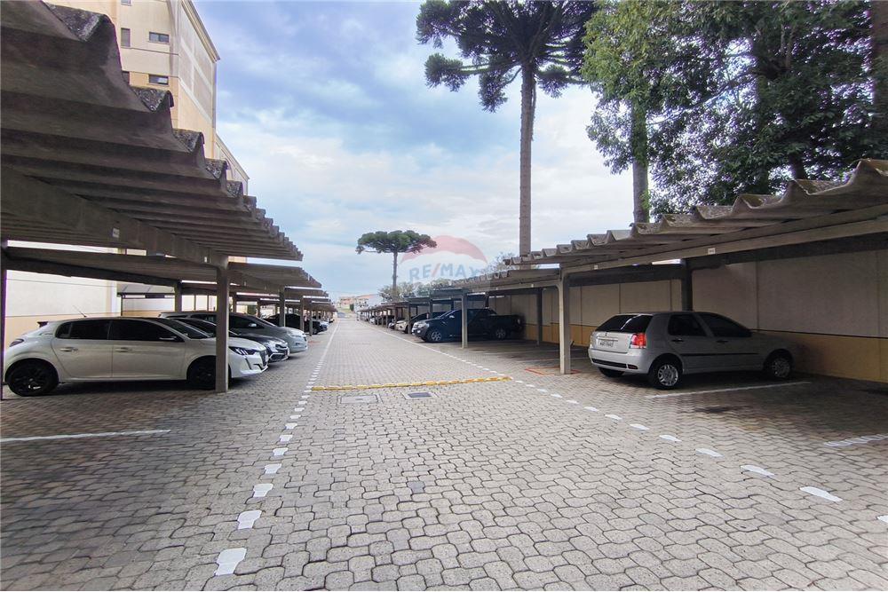Apartamento - Alugar - Curitiba , Paraná - 17 - 560251018-298
