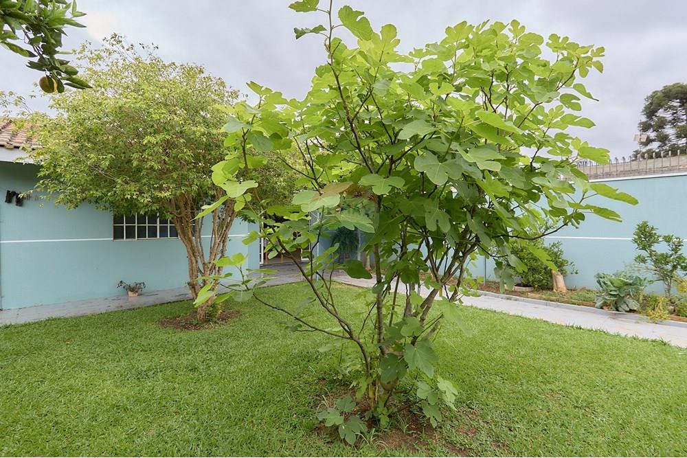 Casa - Venda - Curitiba , Paraná - Click House _200.jpg - 560351012-153