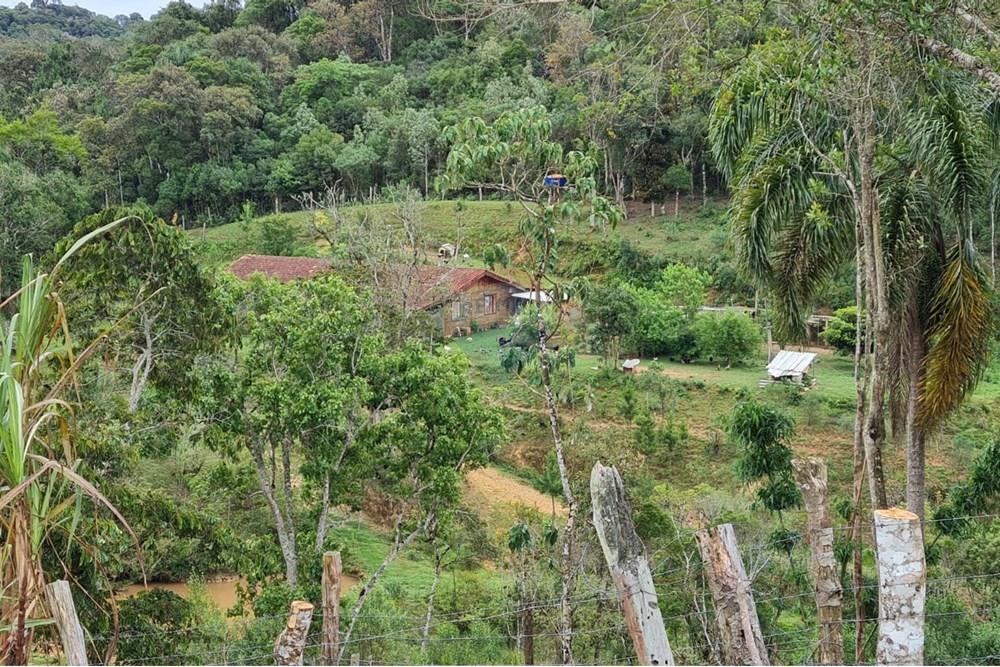 Chácara / Sítio / Fazenda - Venda - Tijucas do Sul , Paraná - 1c5ab56c-fd9b-4d0f-9817-553fd38858c1.jpeg - 560391051-16