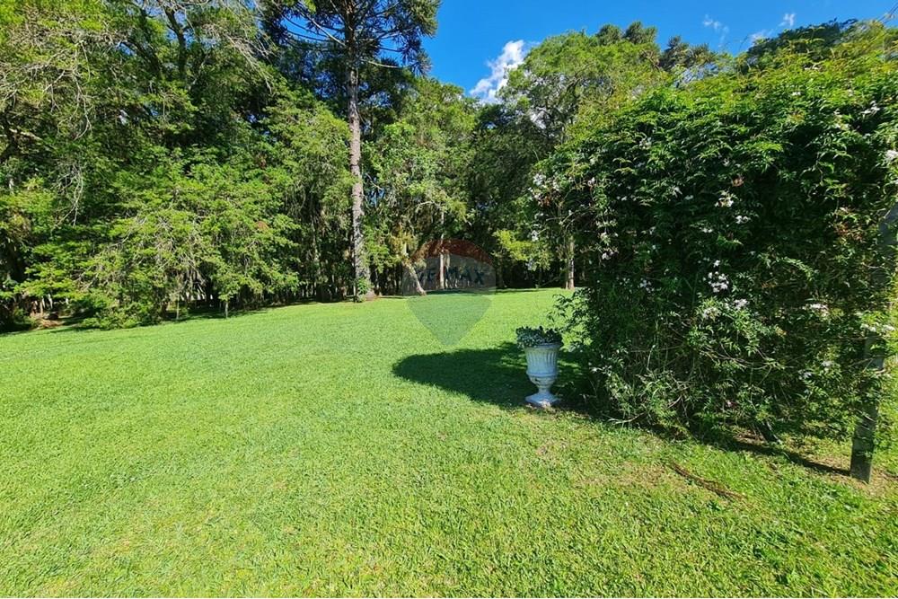 Casa Comercial - Alugar - São José dos Pinhais , Paraná - 197f7a80-73a9-4565-ada0-5c1627399a74.jpeg - 560331128-18