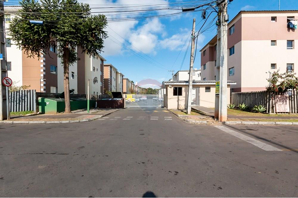 Apartamento - Venda - São José dos Pinhais , Paraná - IMG_9865.jpg - 560331022-70