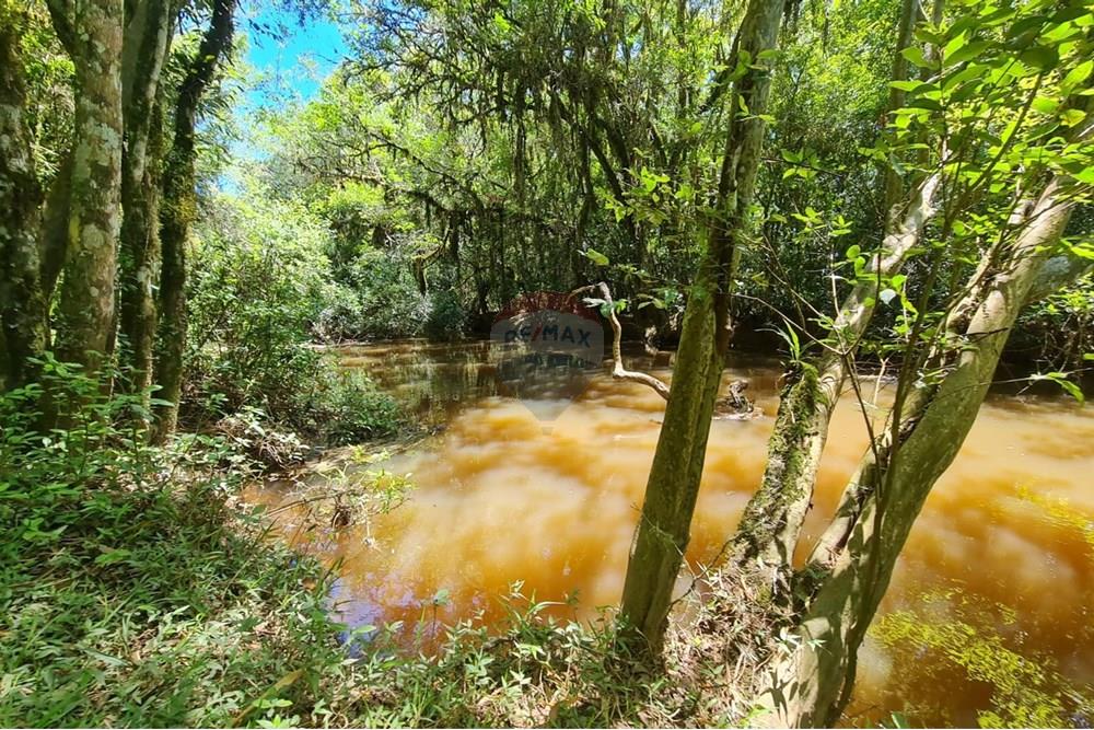 Chácara / Sítio / Fazenda - Venda - São José dos Pinhais , Paraná - 8d7f47d6-96e8-4450-bb9c-669c0db4ae7b.jpeg - 560331128-24