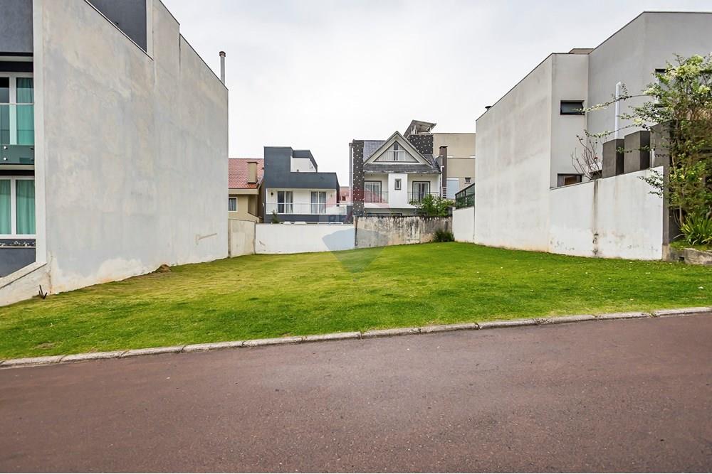 Terreno - Venda - Curitiba , Paraná - IMG_3222_1.jpg - 560341097-92