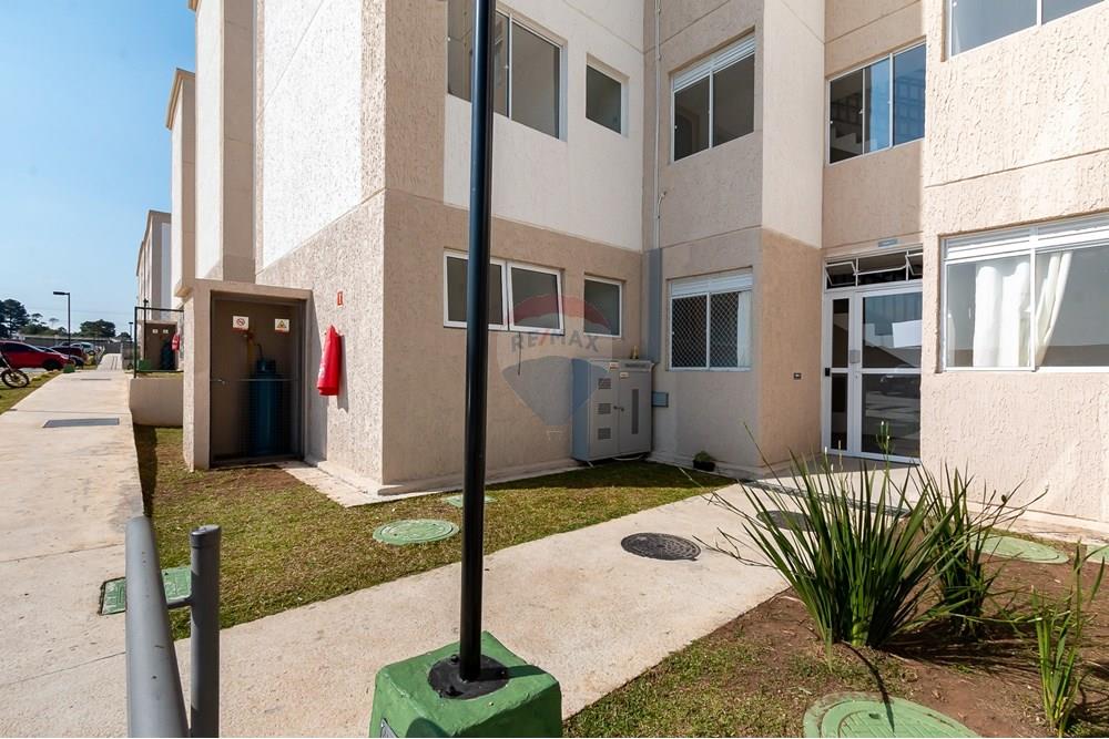 Apartamento - Venda - São José dos Pinhais , Paraná - IMG_4391.jpg - 560321131-15