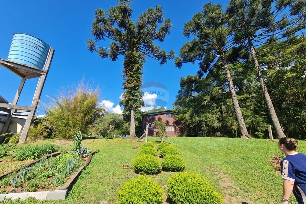 Casa Comercial - Alugar - São José dos Pinhais , Paraná - cc96064f-f9cf-450f-baff-3f46aa45cedc.jpeg - 560331128-18