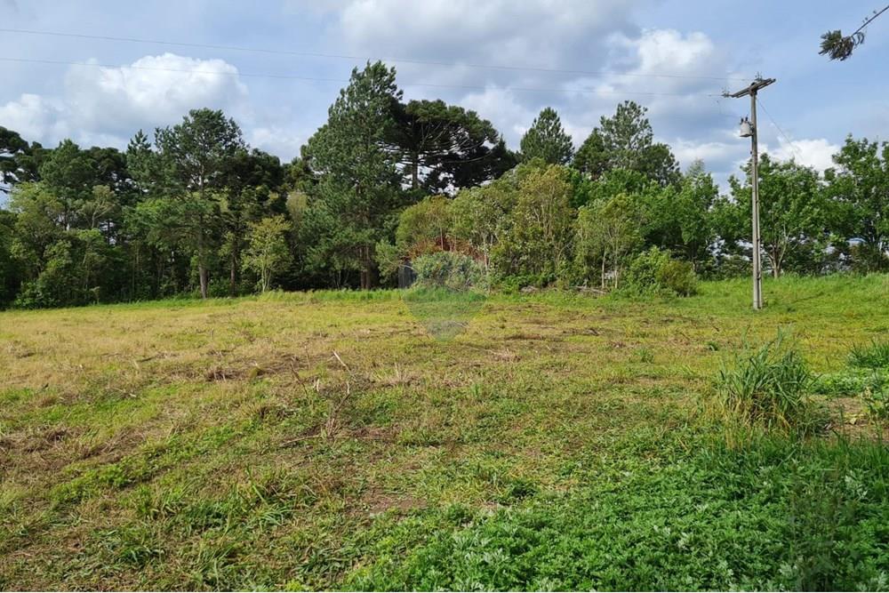 Chácara / Sítio / Fazenda - Venda - São José dos Pinhais , Paraná - 2e1fe1d0-7d8f-4cac-bde9-d7ec303b0617.jpeg - 560331128-24