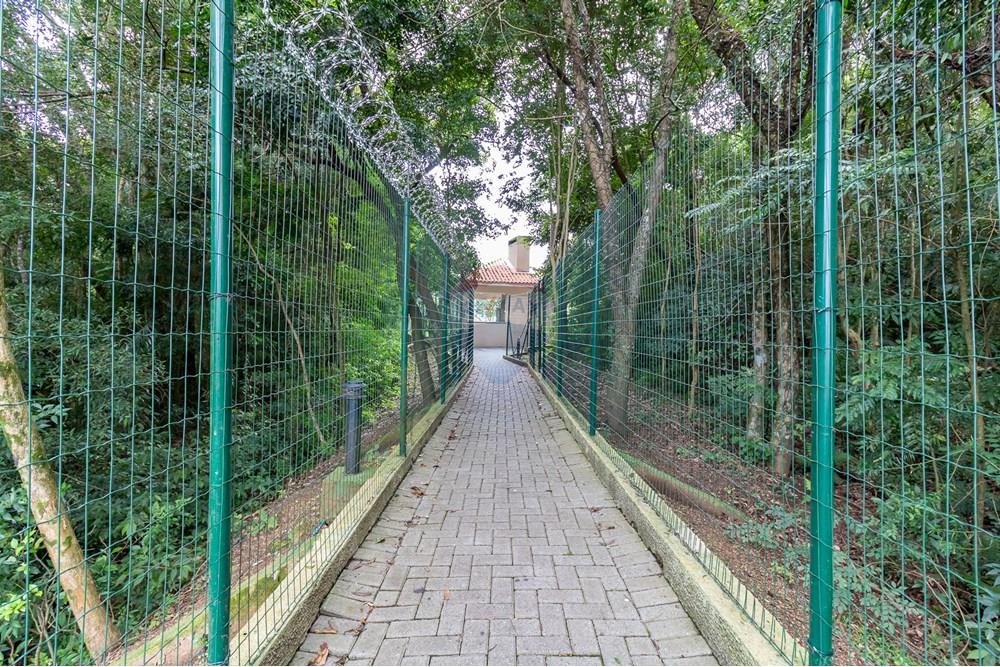 Apartamento - Alugar - Curitiba , Paraná - IMG_8964.jpg - 560311047-547