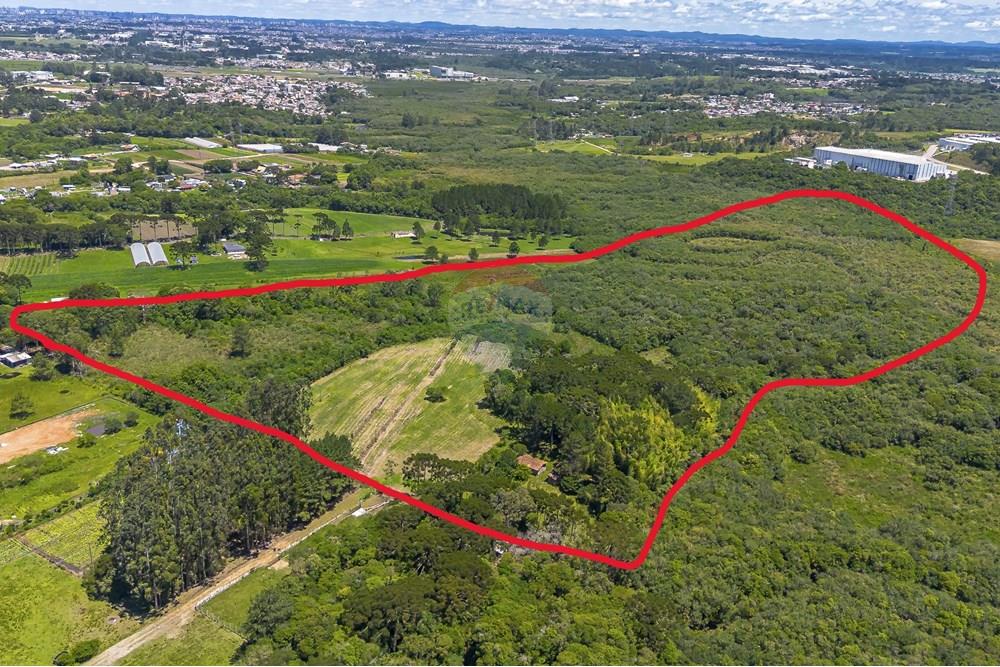 Chácara / Sítio / Fazenda - Venda - São José dos Pinhais , Paraná - FOTO EDITADA.JPG - 560331128-24