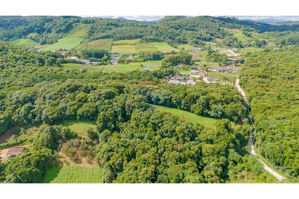 Terreno - Venda - Colombo , Paraná - DJI_20250317145936_0133_D.jpg - 560391062-11