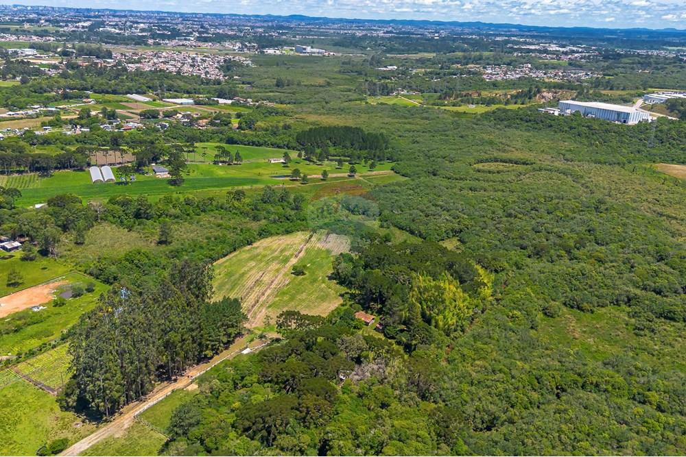 Chácara / Sítio / Fazenda - Venda - São José dos Pinhais , Paraná - DJI_0421_1.jpg - 560331128-24