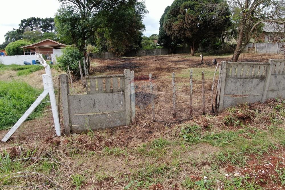 Terreno - Venda - Ponta Grossa , Paraná - DJI_0942.JPG - 560351178-5