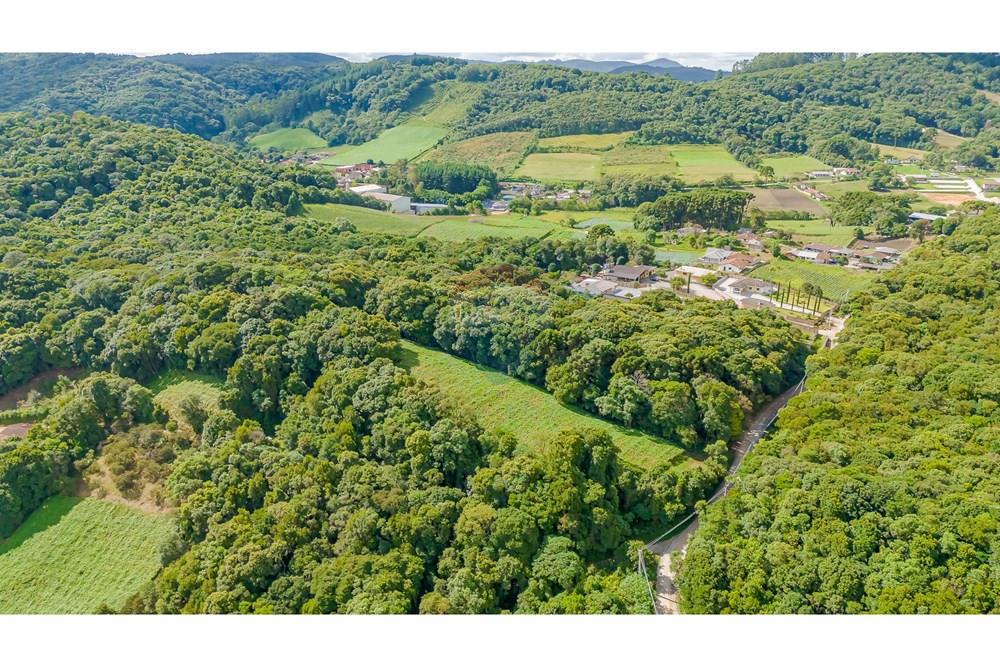 Terreno - Venda - Colombo , Paraná - DJI_20250317145948_0134_D.jpg - 560391062-11