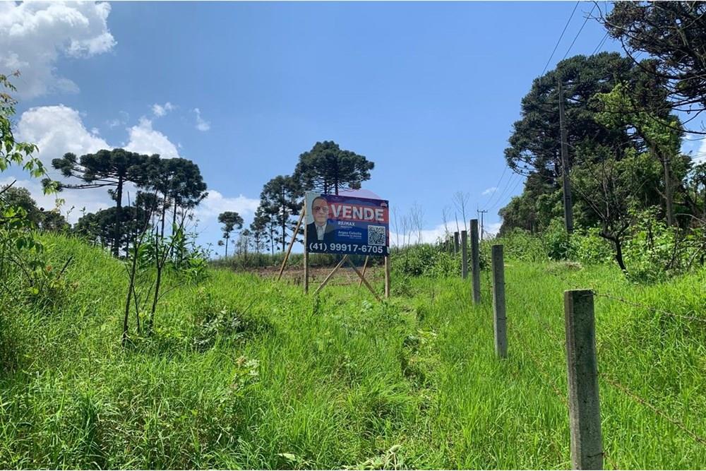 Terreno - Venda - Almirante Tamandaré , Paraná - 09.jpeg - 560461019-14