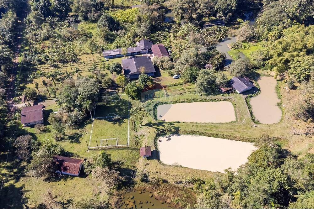 Chácara / Sítio / Fazenda - Venda - Antonina , Paraná - DJI_0650_1.jpg - 560411008-83