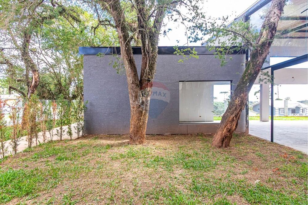 Casa Comercial - Alugar - Curitiba , Paraná - sheep - IMG_3760_1.jpg - 560311047-599