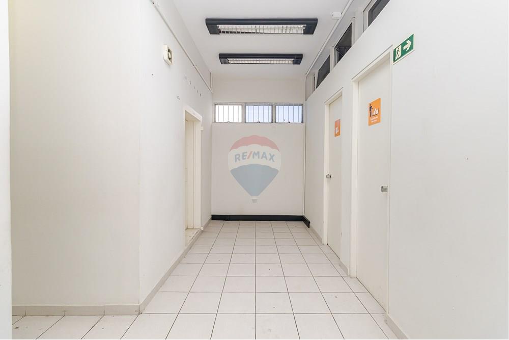 Terreno - Venda - Curitiba , Paraná - IMG_5137.jpg - 560321058-111