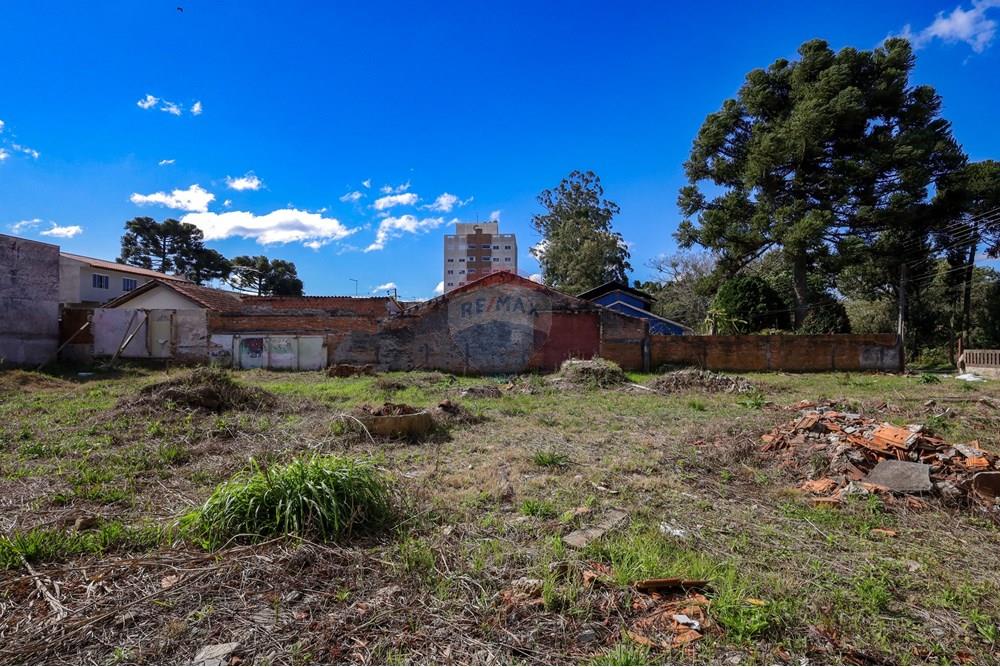 Terreno - Venda - Curitiba , Paraná - IMG_1580.jpg - 560341193-27