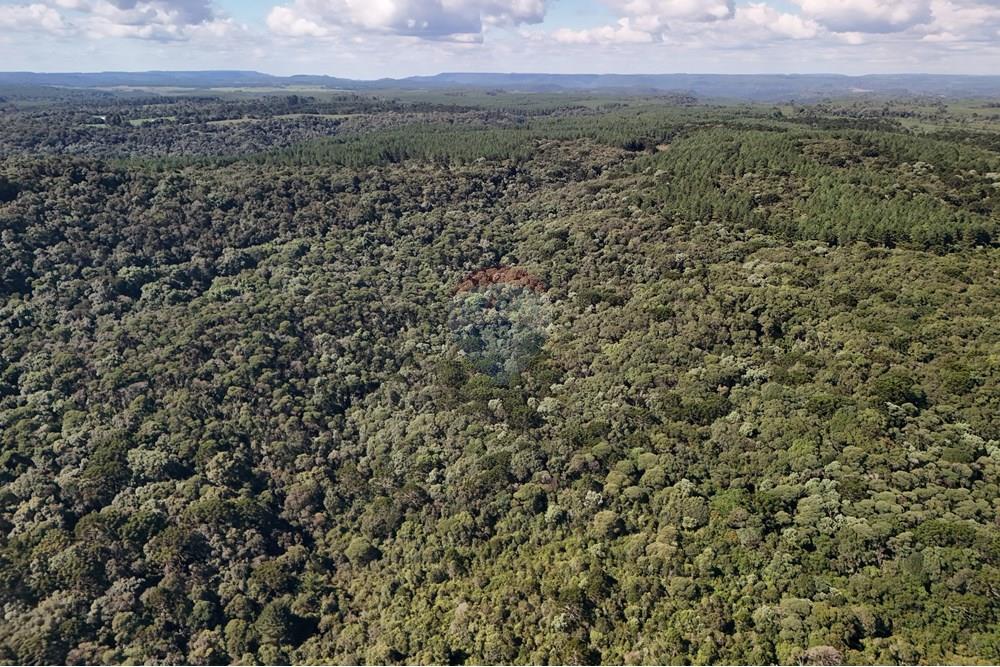 Terreno - Venda - Calmon , Santa Catarina - De cima 2.JPG - 560351109-12