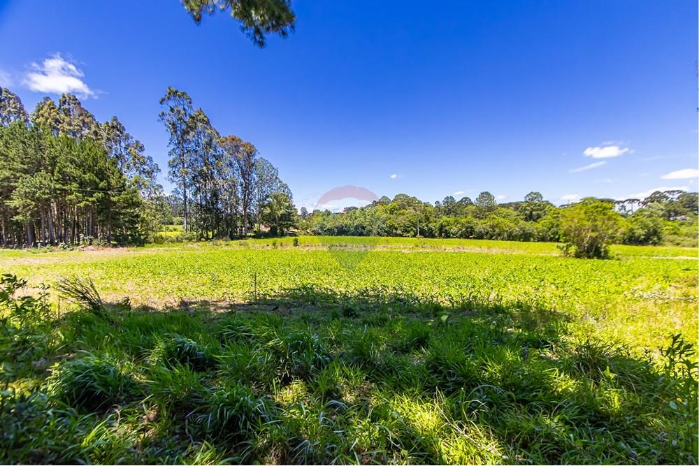 Chácara / Sítio / Fazenda - Venda - São José dos Pinhais , Paraná - IMG_7274.JPG - 560331128-24
