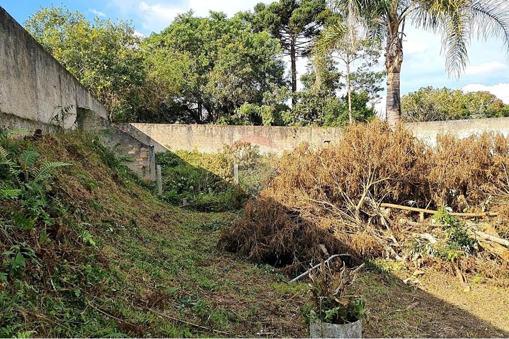 Terreno - Venda - São José dos Pinhais , Paraná - c0549d08-1120-4774-aafd-02110802db81.jpeg - 560391051-19