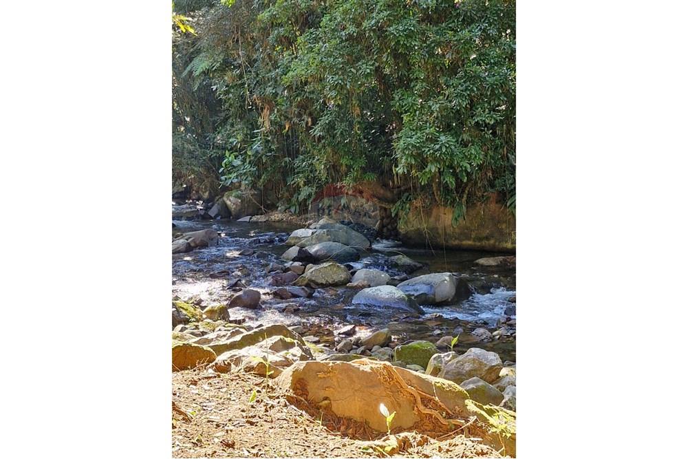 Chácara / Sítio / Fazenda - Venda - Guaratuba , Paraná - IMG-20251007-WA0141.jpg - 560321090-38